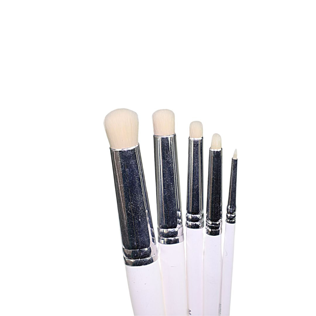 Set de pinceles Pincel Seco